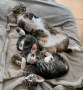 Kalea und Babies